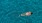 overhead shot of a woman swimming in a pool